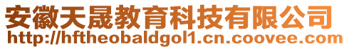 安徽天晟教育科技有限公司