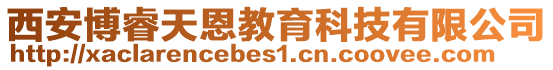 西安博睿天恩教育科技有限公司