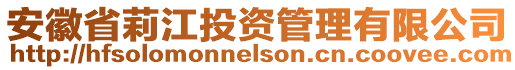安徽省莉江投資管理有限公司