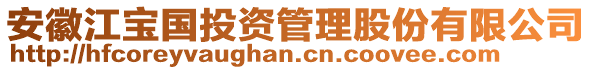 安徽江寶國(guó)投資管理股份有限公司