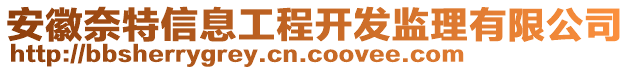 安徽奈特信息工程開(kāi)發(fā)監(jiān)理有限公司