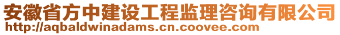 安徽省方中建設工程監理咨詢有限公司