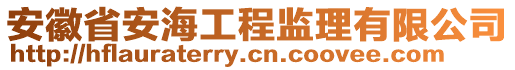 安徽省安海工程監(jiān)理有限公司