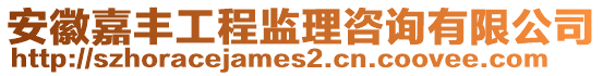 安徽嘉豐工程監(jiān)理咨詢有限公司