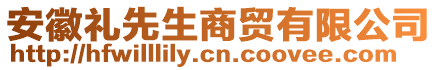 安徽禮先生商貿(mào)有限公司