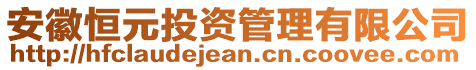 安徽恒元投資管理有限公司