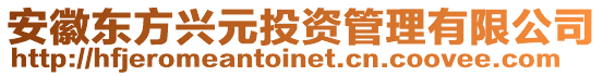 安徽東方興元投資管理有限公司