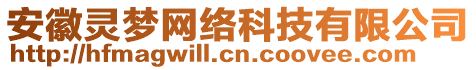 安徽靈夢(mèng)網(wǎng)絡(luò)科技有限公司