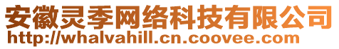 安徽靈季網(wǎng)絡(luò)科技有限公司