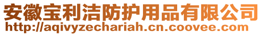 安徽寶利潔防護用品有限公司