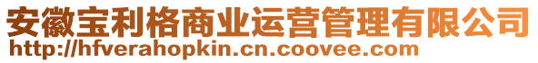 安徽寶利格商業(yè)運(yùn)營管理有限公司