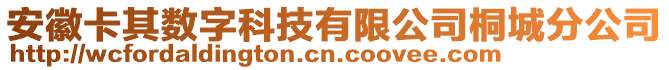 安徽卡其數(shù)字科技有限公司桐城分公司