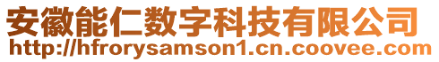 安徽能仁數(shù)字科技有限公司