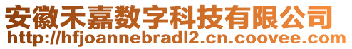 安徽禾嘉數(shù)字科技有限公司