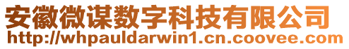 安徽微謀數(shù)字科技有限公司