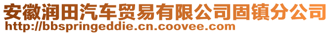 安徽潤田汽車貿(mào)易有限公司固鎮(zhèn)分公司