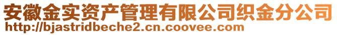 安徽金實(shí)資產(chǎn)管理有限公司織金分公司