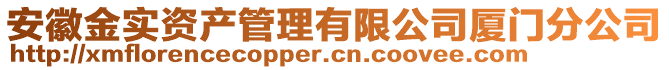 安徽金實資產(chǎn)管理有限公司廈門分公司