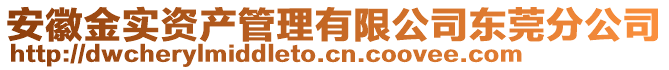 安徽金實資產管理有限公司東莞分公司