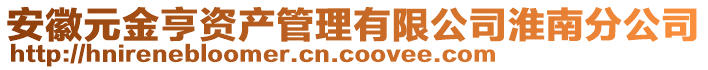 安徽元金亨資產(chǎn)管理有限公司淮南分公司