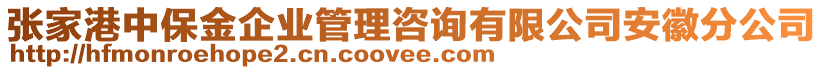 張家港中保金企業(yè)管理咨詢有限公司安徽分公司