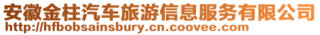 安徽金柱汽車旅游信息服務有限公司