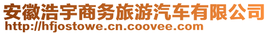 安徽浩宇商務(wù)旅游汽車有限公司