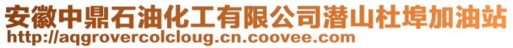 安徽中鼎石油化工有限公司潛山杜埠加油站