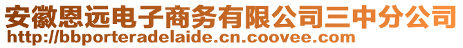 安徽恩遠電子商務有限公司三中分公司