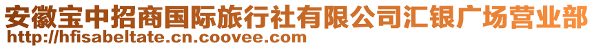 安徽宝中招商国际旅行社有限公司汇银广场营业部