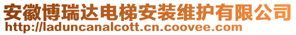 安徽博瑞達(dá)電梯安裝維護(hù)有限公司