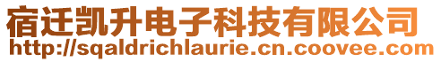 宿遷凱升電子科技有限公司