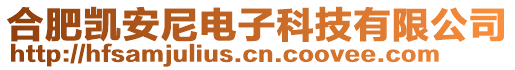 合肥凱安尼電子科技有限公司