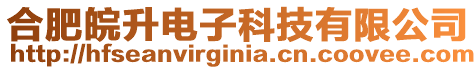 合肥皖升電子科技有限公司