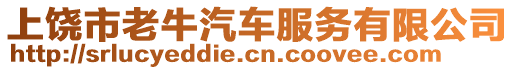 上饒市老牛汽車服務有限公司