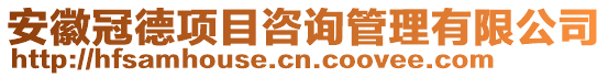 安徽冠德項(xiàng)目咨詢管理有限公司