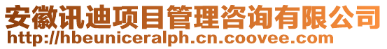 安徽訊迪項目管理咨詢有限公司