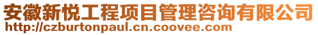 安徽新悦工程项目管理咨询有限公司