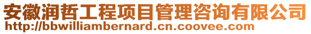 安徽潤哲工程項目管理咨詢有限公司