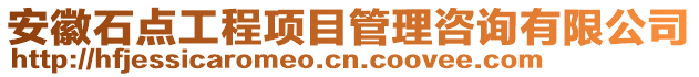 安徽石點工程項目管理咨詢有限公司