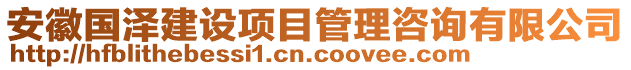 安徽國(guó)澤建設(shè)項(xiàng)目管理咨詢有限公司