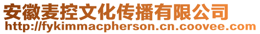 安徽麥控文化傳播有限公司