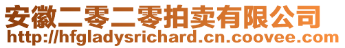 安徽二零二零拍賣有限公司