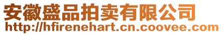 安徽盛品拍賣有限公司