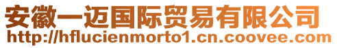 安徽一邁國(guó)際貿(mào)易有限公司