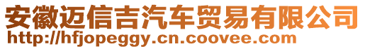 安徽邁信吉汽車貿(mào)易有限公司