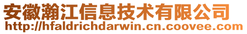 安徽瀚江信息技術(shù)有限公司