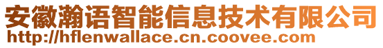 安徽瀚語智能信息技術(shù)有限公司