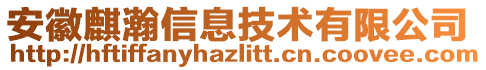 安徽麒瀚信息技術(shù)有限公司