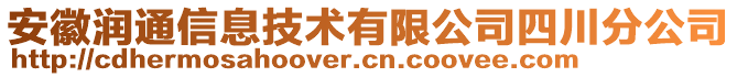 安徽潤通信息技術(shù)有限公司四川分公司